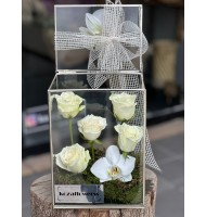 Glass Box White