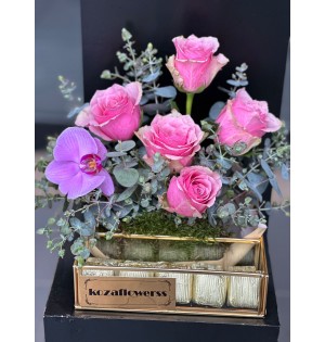 Chocolate Box Pink