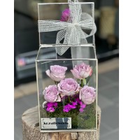 Glass Box Lily