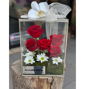 Glass Box Red