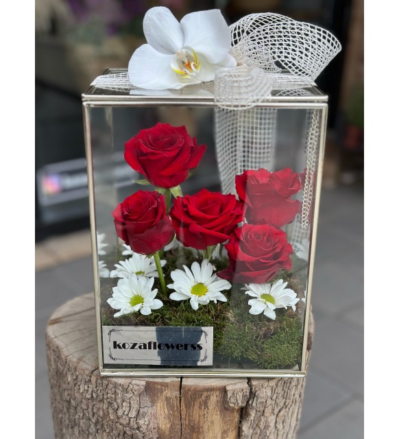 Glass Box Red