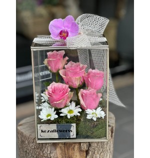 Glass Box Athena Royal