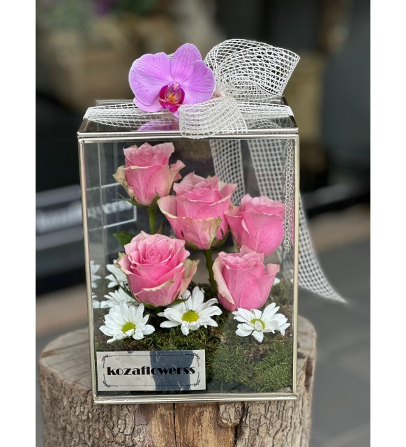 Glass Box Athena Royal