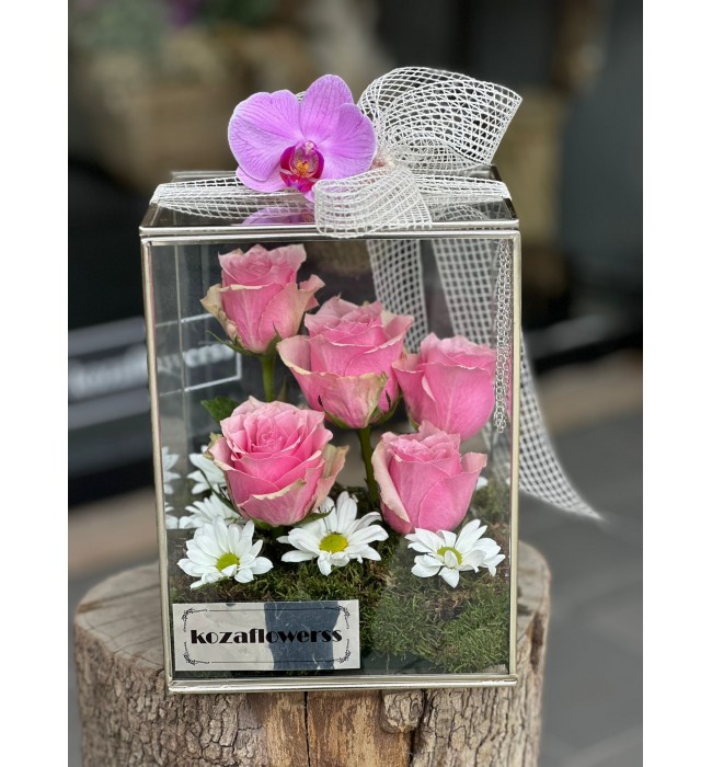 Glass Box Athena Royal