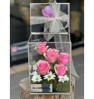 Glass Box Athena Royal