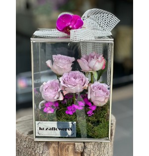 Glass Box Lily
