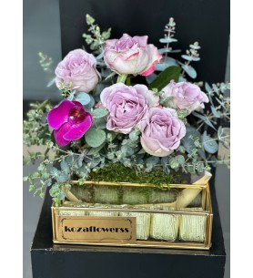 Chocolate Box Lily