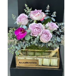 Chocolate Box Lily