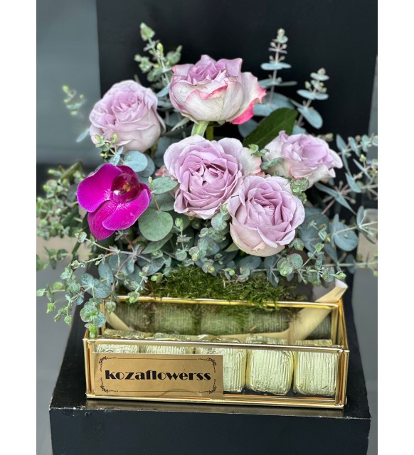 Chocolate Box Lily
