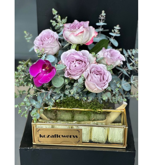 Chocolate Box Lily