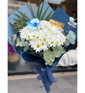 Navy Daisy