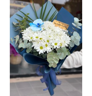 Navy Daisy