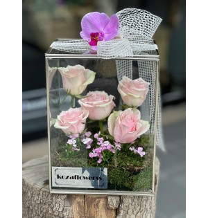 Glass Box Pink Athena