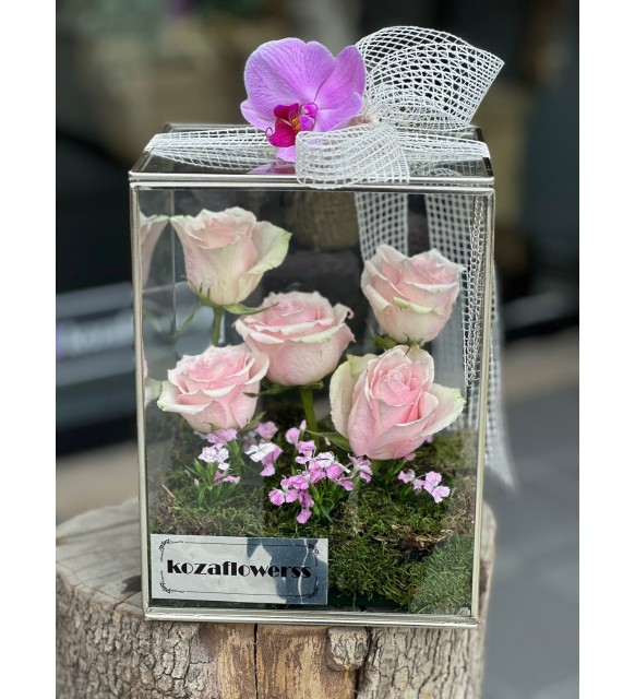 Glass Box Pink Athena