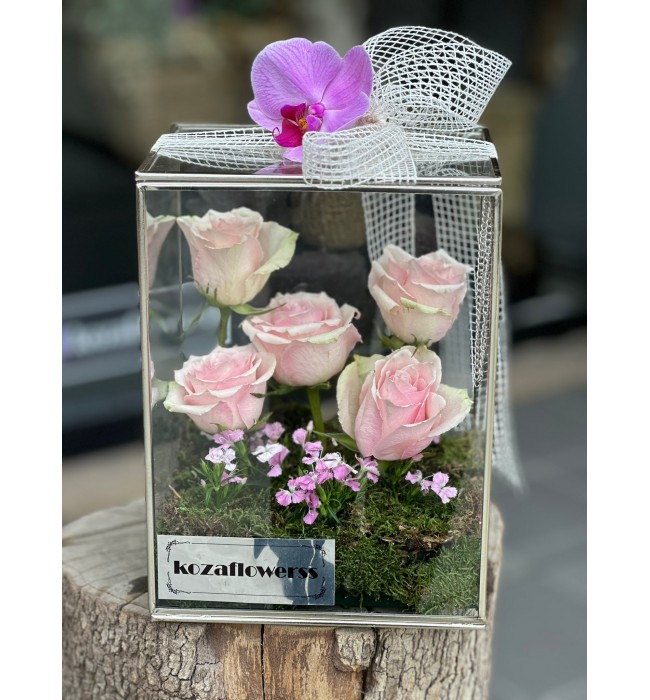 Glass Box Pink Athena