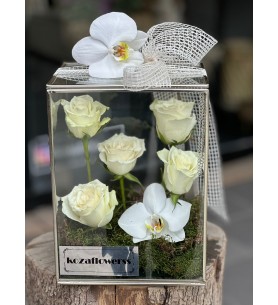 Glass Box White