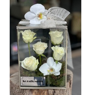 Glass Box White