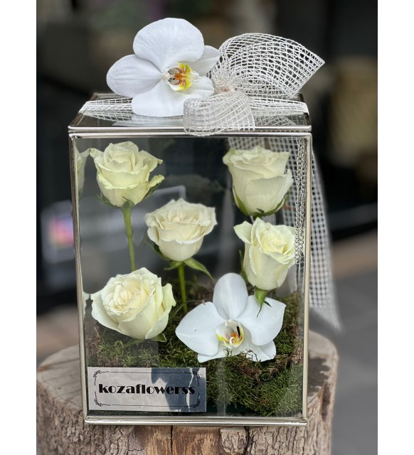 Glass Box White