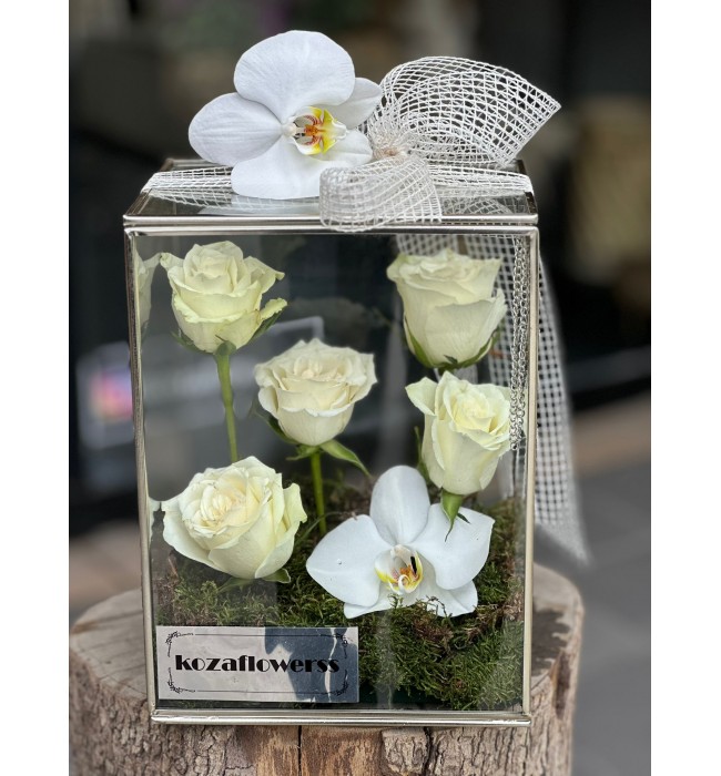 Glass Box White