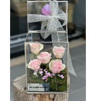 Glass Box Pink Athena