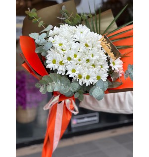 Spring Papatya Buketi