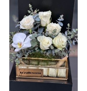 Chocolate Box White