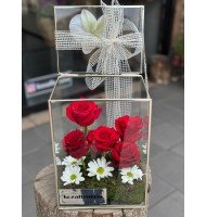 Glass Box Red
